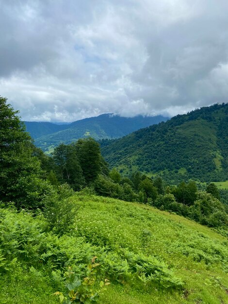 Una hermosa vista de las montañas.