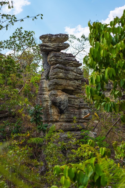 Una hermosa vista de la naturaleza en Chapada dos Veadeiros ubicada en Alto Paraiso Goias Brasil