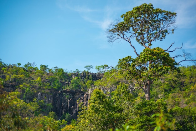 Una hermosa vista de la naturaleza en Chapada dos Veadeiros ubicada en Alto Paraiso Goias Brasil