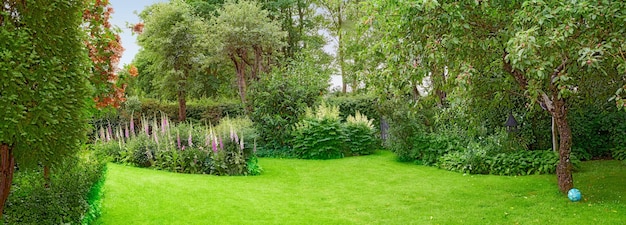 Una hermosa vista de la naturaleza de plantas de hierba verde, árboles y flores Césped de parque privado al aire libre durante la primavera con un fondo natural Un entorno de paisaje exterior en un día de jardinería tranquilo