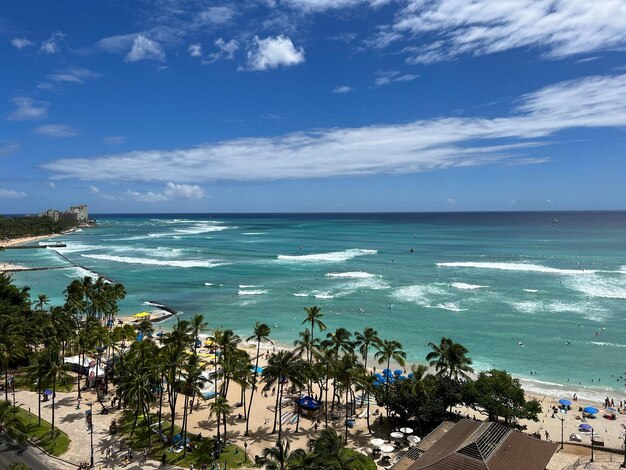 Foto una hermosa vista del océano pacífico con palmeras en la playa de hawai