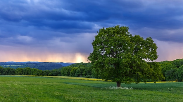 Hermosa vista del paisaje al atardecer