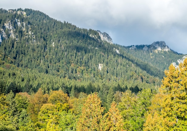 Hermosa vista del paisaje de Alemania