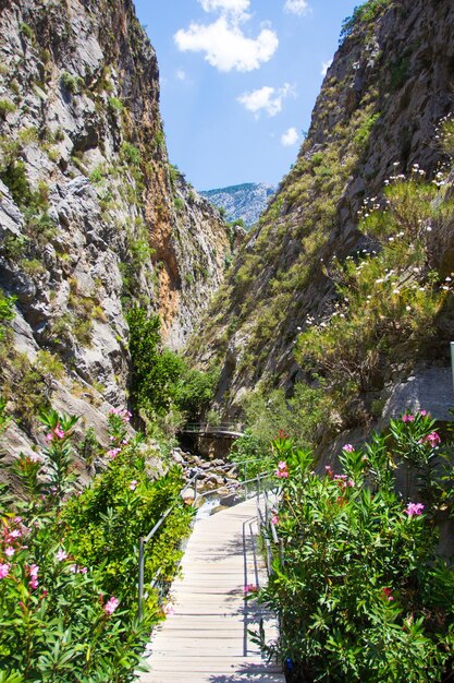 Hermosa vista del paisaje del cañón Sapadere en Turquía