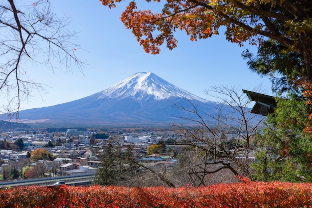 Hermosa vista del paisaje del famoso monumento de MtFuji en Japón en otoño