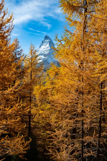 Hermosa vista del paisaje con Matterhorn en otoño en Zermatt Suiza