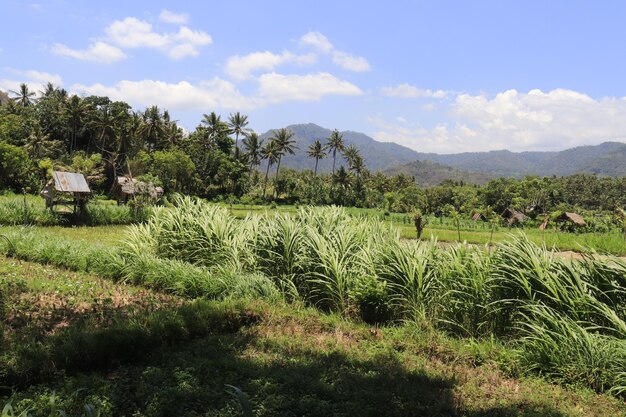 Una hermosa vista panorámica de bali indonesia