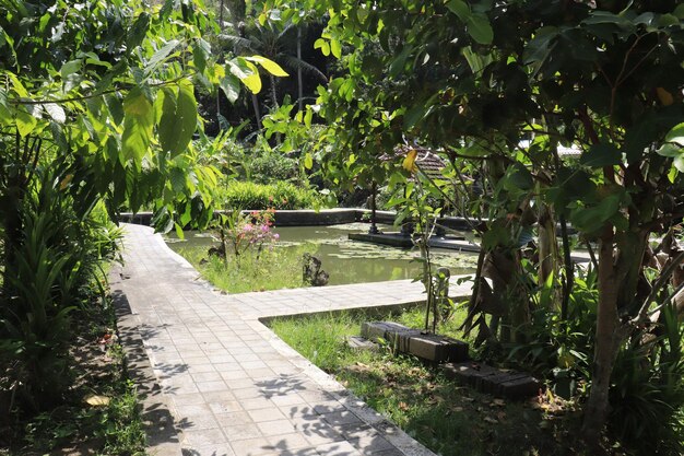 Una hermosa vista panorámica de bali indonesia