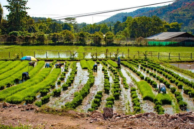 Una hermosa vista panorámica de la ciudad de Chiang Rai en Tailandia