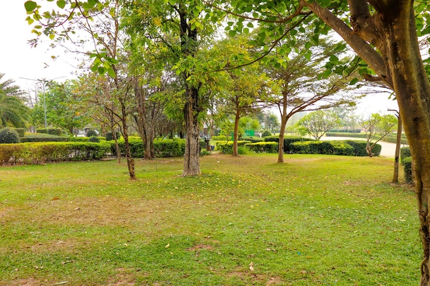 Una hermosa vista panorámica de la ciudad de Vientiane en Laos