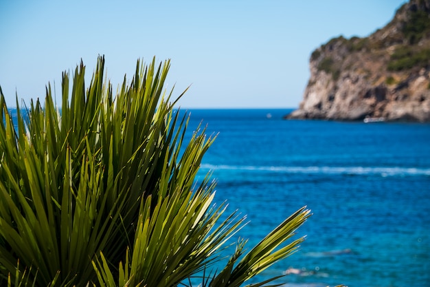 Hermosa vista panorámica del paisaje marino de verano en la bahía del mar con agua azul cristalina.