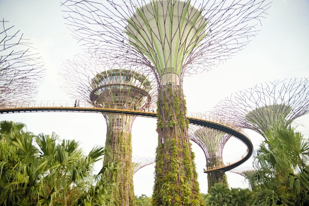 Una hermosa vista panorámica de Singapur