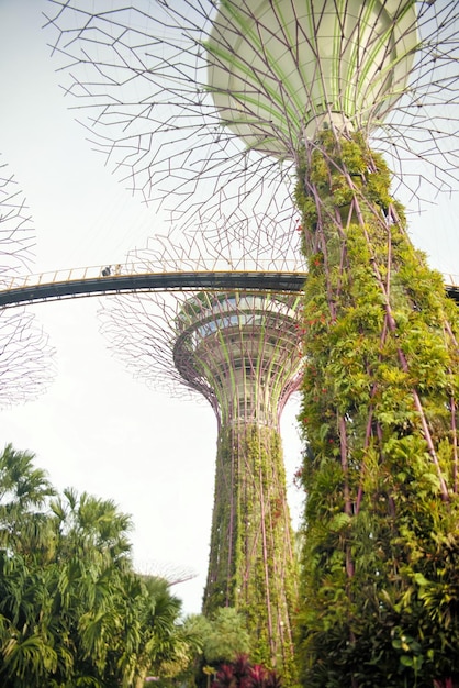 Una hermosa vista panorámica de Singapur