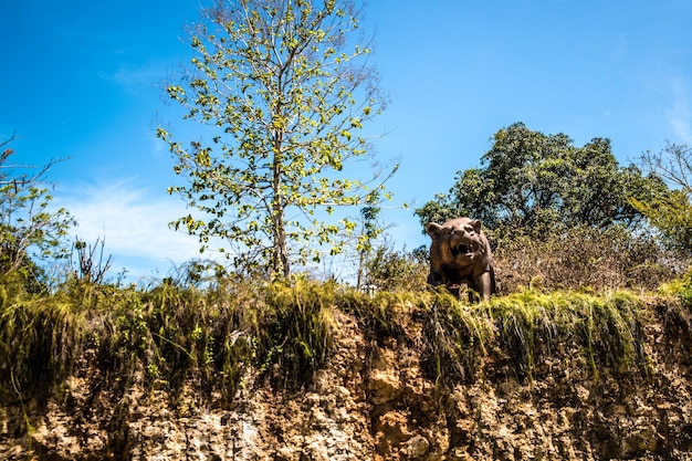 Una hermosa vista del parque GWK Garuda Wisnu Kencana ubicado en Bali Indonesia