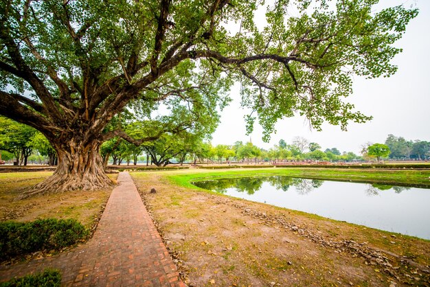 Una hermosa vista del parque histórico de Sukhothai ubicado en Tailandia