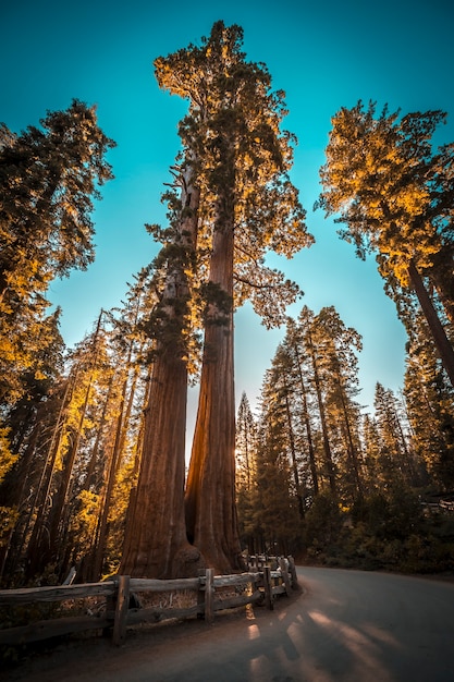 Hermosa vista de un parque nacional