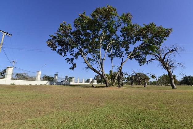 Una hermosa vista del parque Pontao do Lago Sul ubicado en Brasilia, capital de Brasil