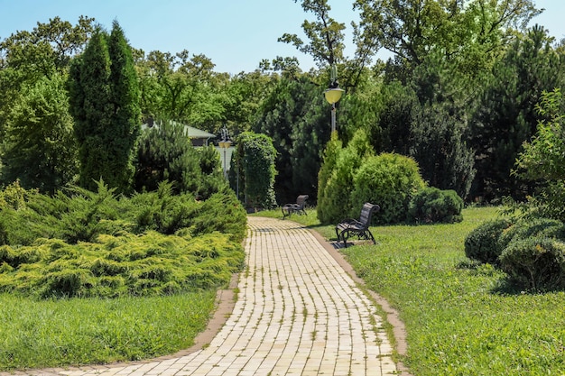 Hermosa vista del parque verde