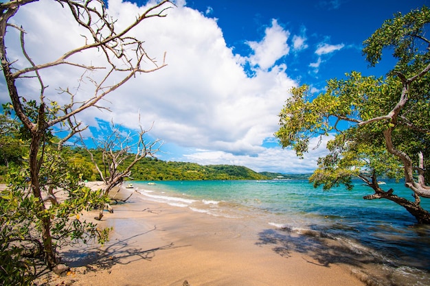 Hermosa vista a la playa con árboles y cielo azul con arena Costa Rica