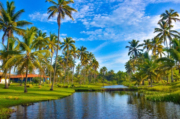 Una hermosa vista de la playa en Ilheus Bahia Brasil