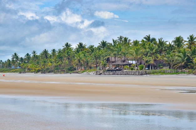 Una hermosa vista de la playa en Ilheus Bahia Brasil