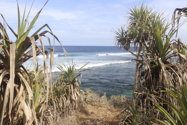 Una hermosa vista de la playa de Nusa Dua en Bali Indonesia