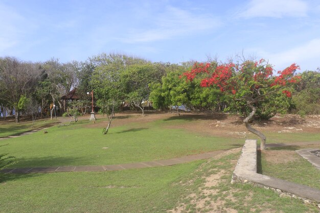 Una hermosa vista de la playa de Nusa Dua en Bali Indonesia