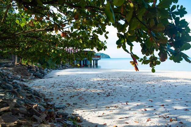 Una hermosa vista de la playa de Pantai Cenang en Langkawi Malasia