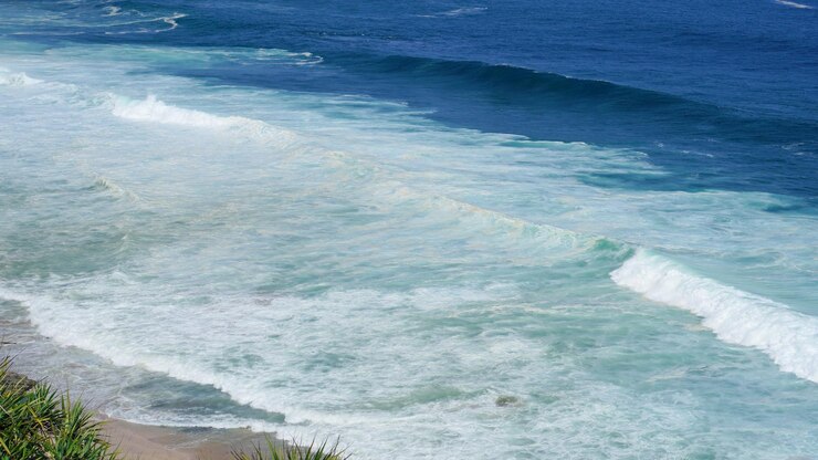 hermosa vista de la playa con pequeñas olas rodando y espuma blanca y plantas verdes