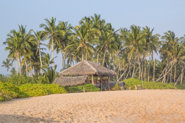 Hermosa vista de la playa tropical de Sri Lanka en un día soleado