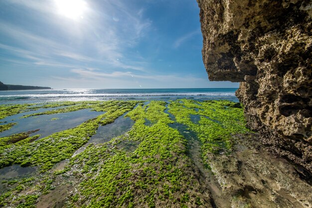 Una hermosa vista de la playa de Uluwatu ubicada en Bali Indonesia