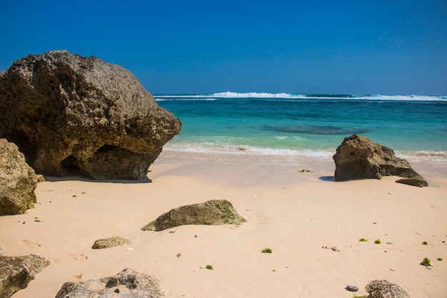 Foto hermosa vista de playa de verano