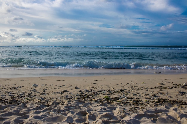 Foto hermosa vista de playa de verano