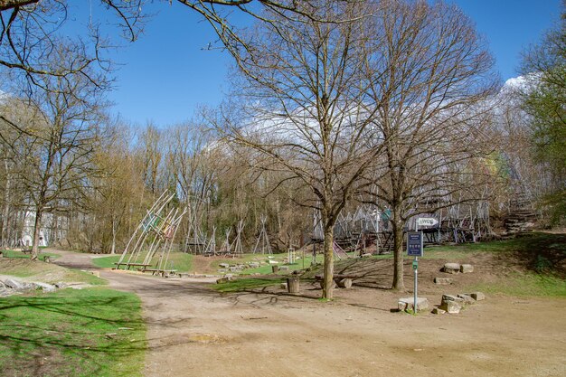 hermosa vista de la primavera en el parque ingolstadt danube