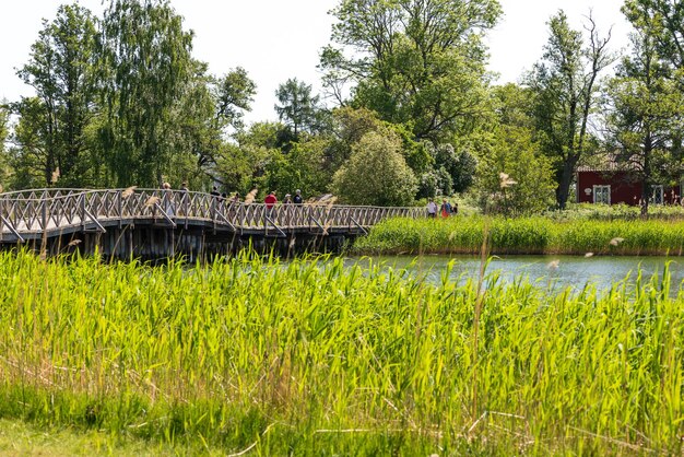 Hermosa vista del puente largo de madera sobre el lago en el parque en un día soleado de verano