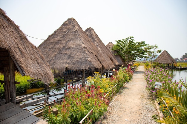 Una hermosa vista del restaurante Lotus Flower Field ubicado en Siem Reap Camboya