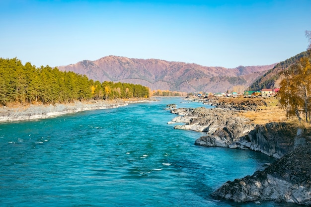 Hermosa vista del río Katun turquesa en las montañas de Altai en un día soleado. Territorio de Altai en Siberia