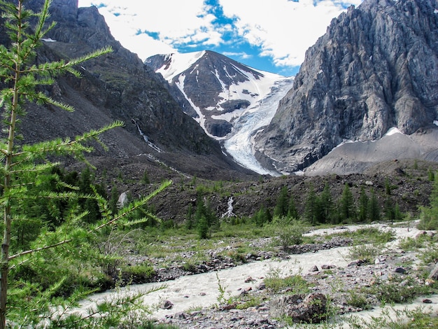 Hermosa vista del río de la montaña en verano, Altai, Rusia de