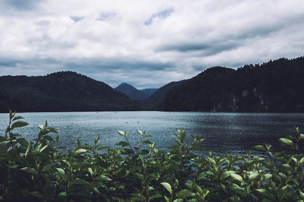 Foto hermosa vista del río y el paisaje del árbol en alemania