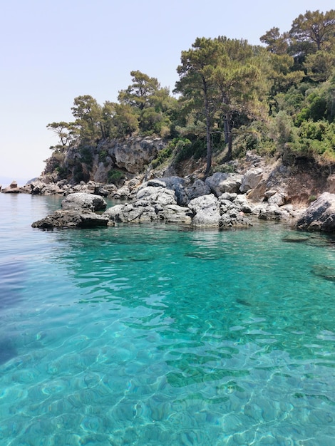 Hermosa vista de las rocas de la costa azul y pinos El mar Egeo Turquía Kusadasi