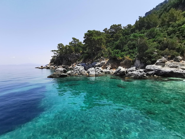 Hermosa vista de las rocas de la costa azul y pinos El mar Egeo Turquía Kusadasi