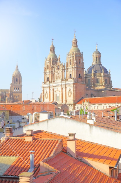 Hermosa vista de Salamanca en España