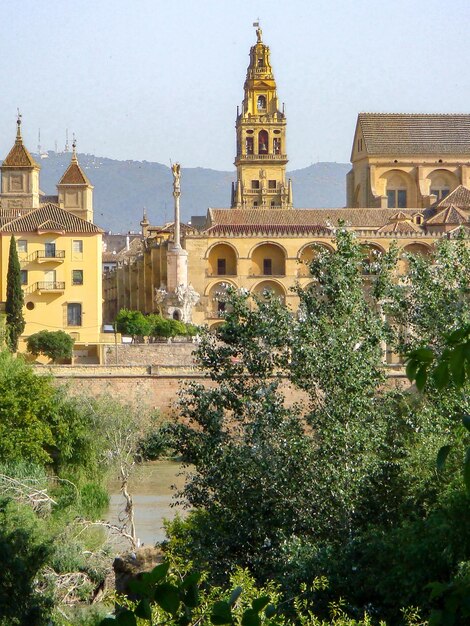 Hermosa vista sobre el campanario en un día de verano Córdoba España