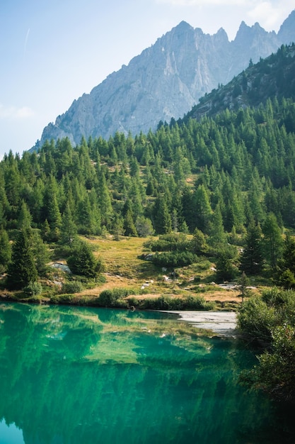 Una hermosa vista sobre el lago aviolo.