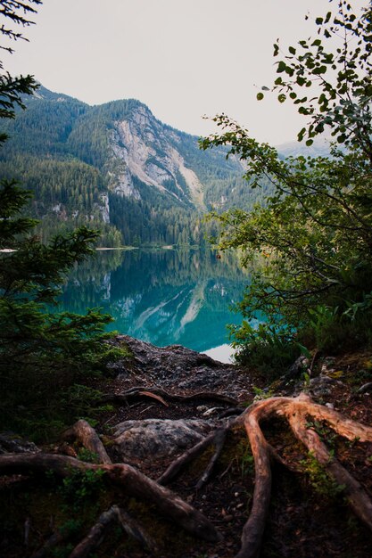 hermosa vista sobre el lago tovel