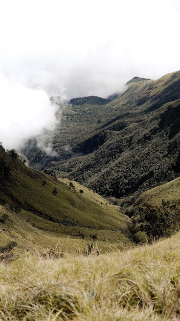 Hermosa vista sobre el monte Merbabu