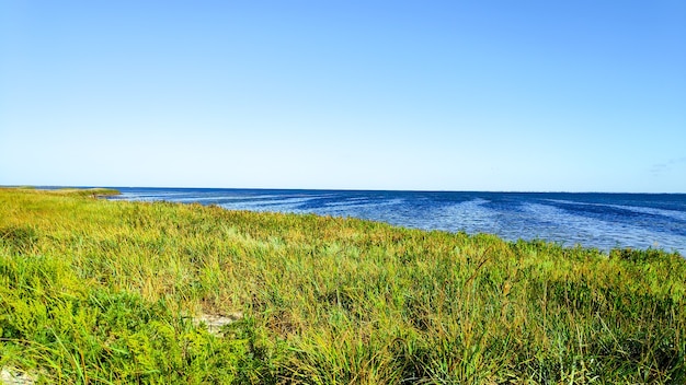 Hermosa vista sobre la orilla del océano junto al mar, orilla con pasto verde en las soleadas vacaciones de verano. Horizonte panorámico del paisaje de la naturaleza escénica.