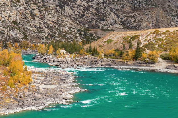 Hermosa vista sobre el río de montaña Katun Ilgumen umbral