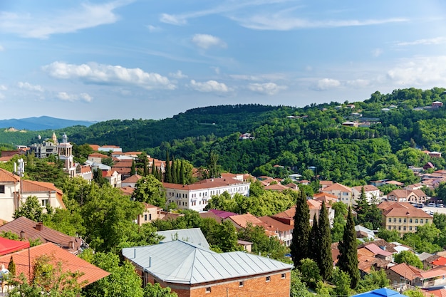 Hermosa vista de los techos rojos de las casas en la ciudad del amor Sighnaghi Georgia.