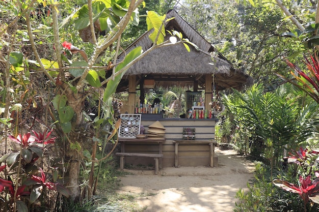 Una hermosa vista de Tegalalang ubicada en Ubud Bali Indonesia